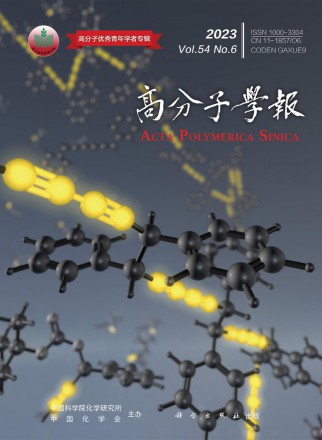 高分子學(xué)報(bào)