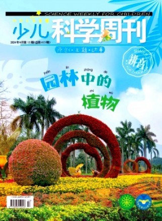 少兒科學周刊·兒童版