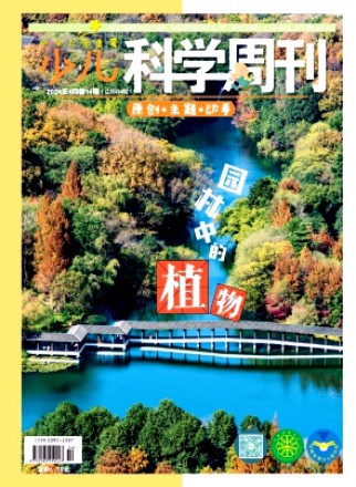 少兒科學(xué)周刊·少年版