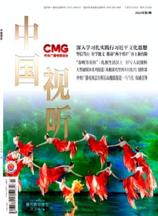 中國視聽